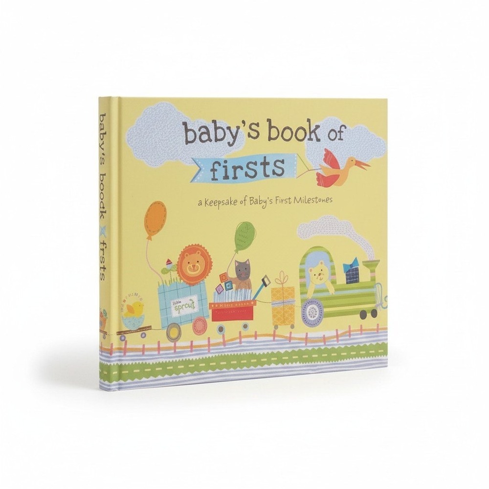 Stepping Stones Baby Book of Firsts Keepsake Milestones Memory Book C.R. Gibson